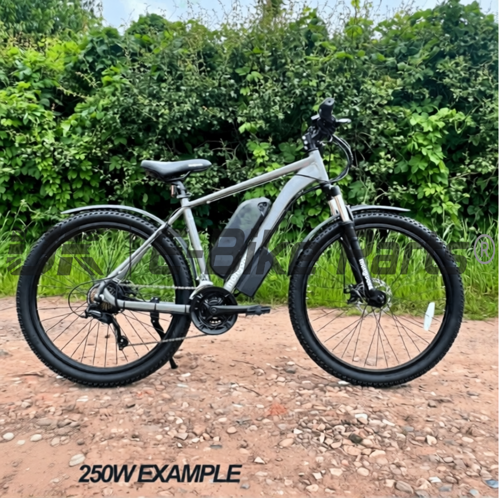 Ultimate MTX 48V 250W Road Legal E Bike Conversion Kit HG Cassette 1-11 Speed Rear Wheel | 48V 19.2AH LG Battery